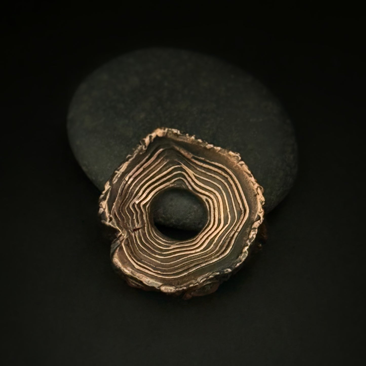Tree Ring-39